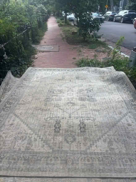 Photo of free rugs two shelves lamp plastic tree (641 A St NE) #1