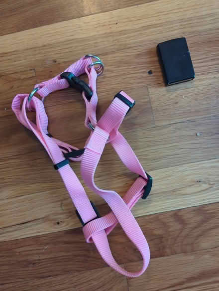 Photo of free Dog harness small/medium (Duren Ave) #1