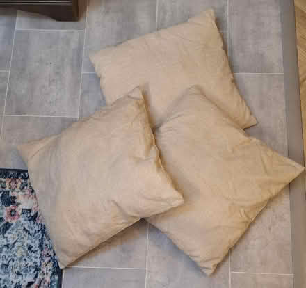 Photo of free 3 x matching cushions (Boughton Monchelsea ME17) #1