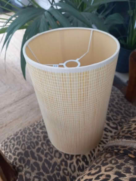 Photo of free lampshade (Maidstone) #1