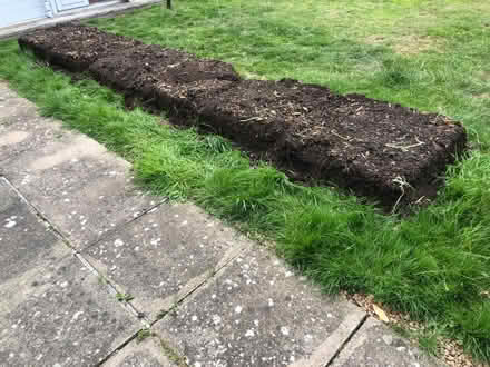 Photo of free Top soil, small apple trees, broom, etc (Craigie DD4) #3
