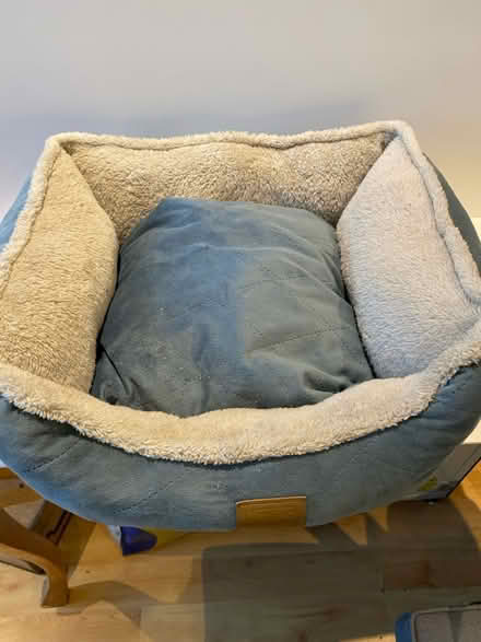Photo of free Plush bed (Douglas, cork) #1