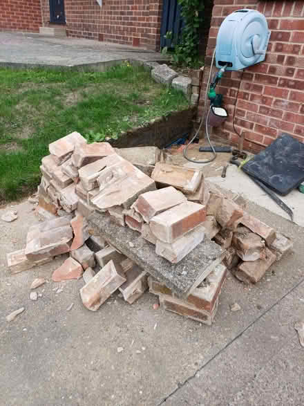 Photo of free Bricks (Bramley S66) #1