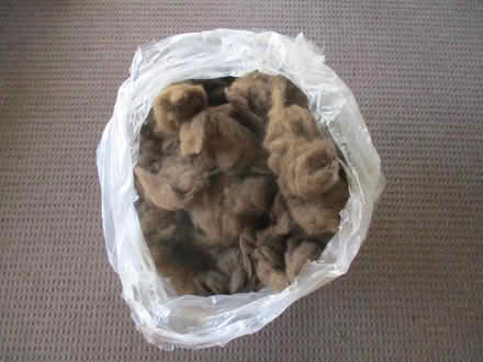 Photo of free soft synthetic stuffing (casselberry) #2