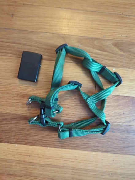 Photo of free Dog harness, small, green (Duren Ave) #1