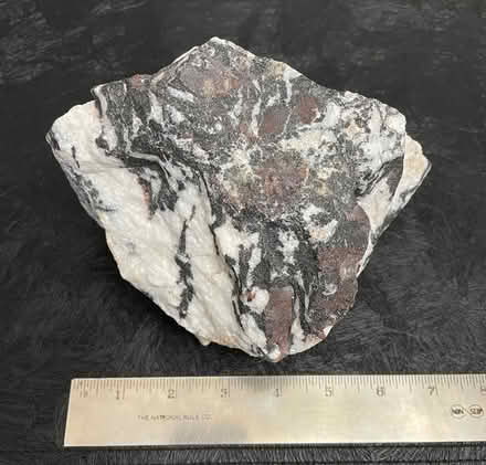 Photo of free Aquarium rock (Bloor Lansdowne) #1