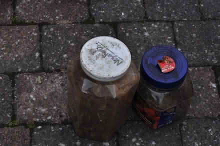 Photo of free Two Pots Of Screws And Nails. (TN31) #1
