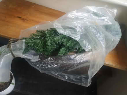 Photo of free 3' Artificial Xmas tree (West End Woking) #1