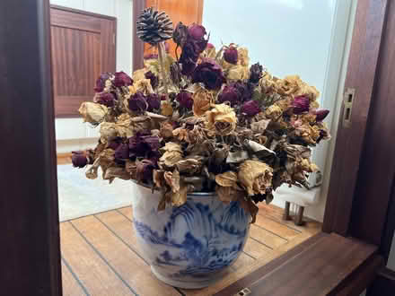 Photo of free Dried roses (Wapping E1W) #2