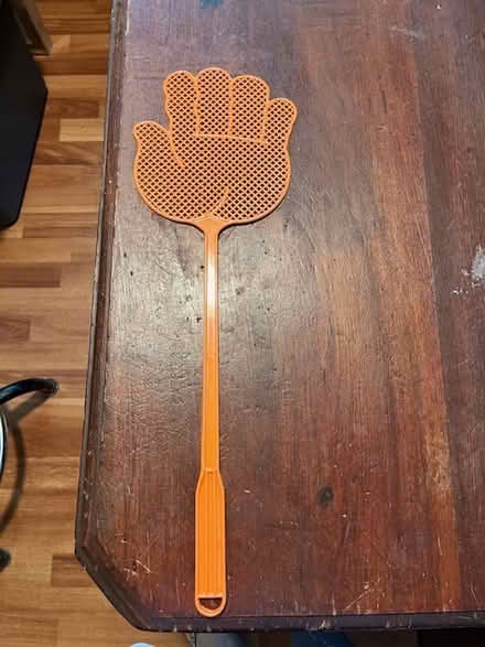 Photo of free 2 flyswatters (South Novato near Hamilton) #1