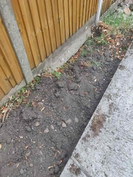 Photo of free Garden Top Soil (Wollaton Park NG8) #3