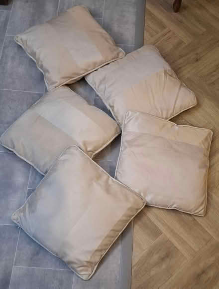 Photo of free 5 x matching cushions (Boughton Monchelsea ME17) #1