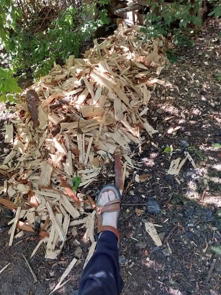 Photo of free Large wood chippings (West End EH12) #1