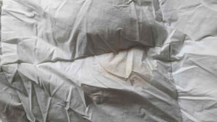Photo of free Double feather duvet (Radbrook SY3) #3