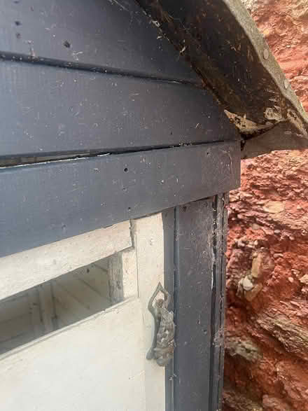 Photo of free Wooden playhouse (Torquay TQ2) #4