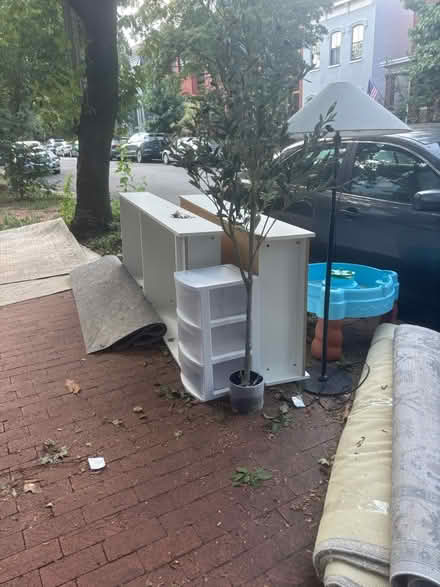Photo of free rugs two shelves lamp plastic tree (641 A St NE) #3
