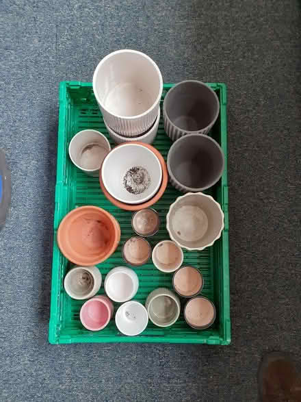 Photo of free Small plant pots (Woodlands G3) #2