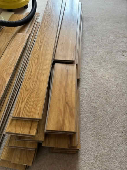 Photo of free Oak laminate flooring (Derby DE24) #1
