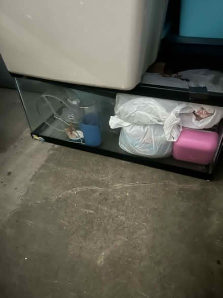 Photo of free Hamster habitat (St Paul) #1