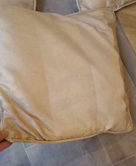 Photo of free 5 x matching cushions (Boughton Monchelsea ME17) #2