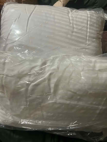 Photo of free Pillows (Long ditton) #1