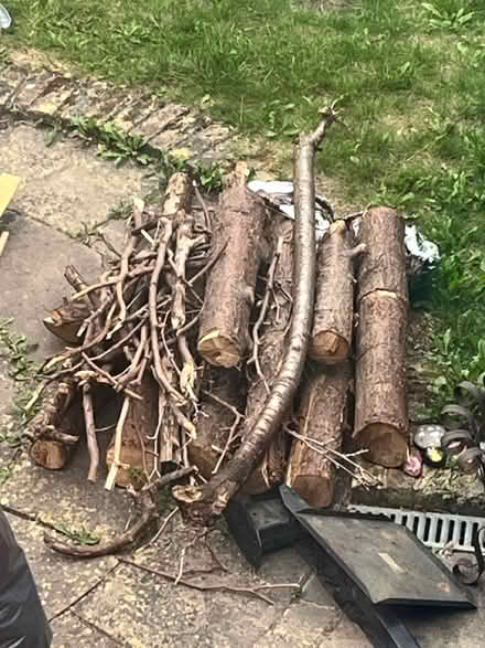 Photo of free Dried logs (Crofton park) #1