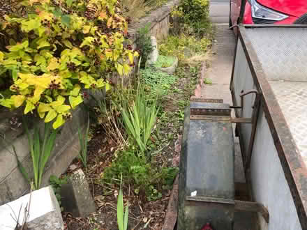 Photo of free Top soil, small apple trees, broom, etc (Craigie DD4) #4