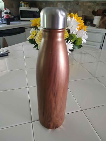 Photo of free New stainless bottle (Odenton) #1