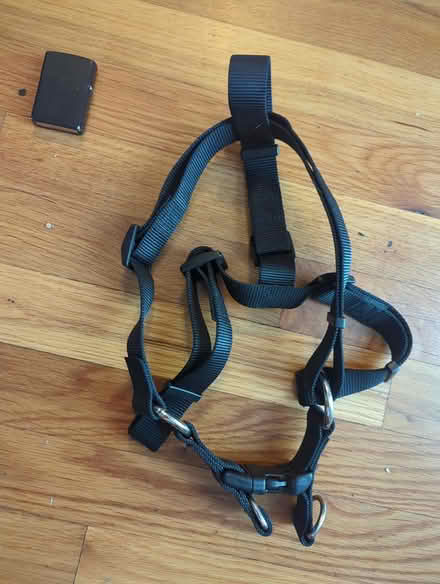 Photo of free Dog harness, medium/large (Duren Ave) #1