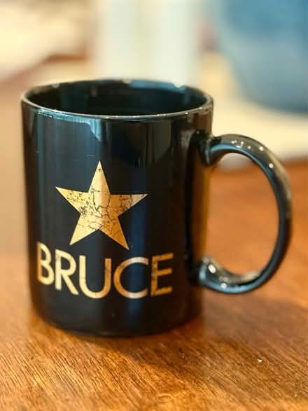 Photo of free Bruce (Chelmsford, MA) #1