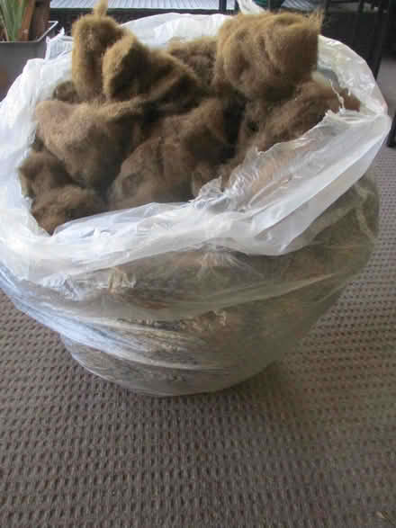 Photo of free soft synthetic stuffing (casselberry) #1