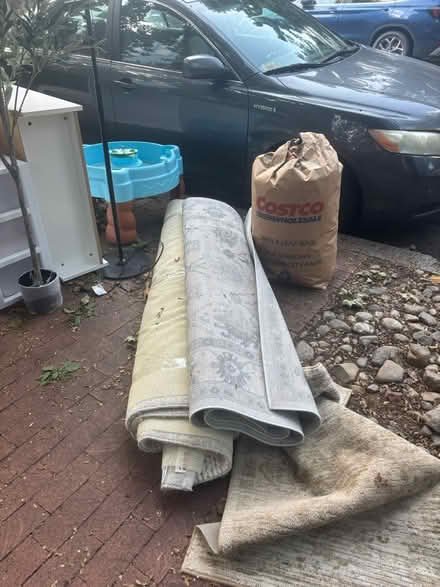 Photo of free rugs two shelves lamp plastic tree (641 A St NE) #2