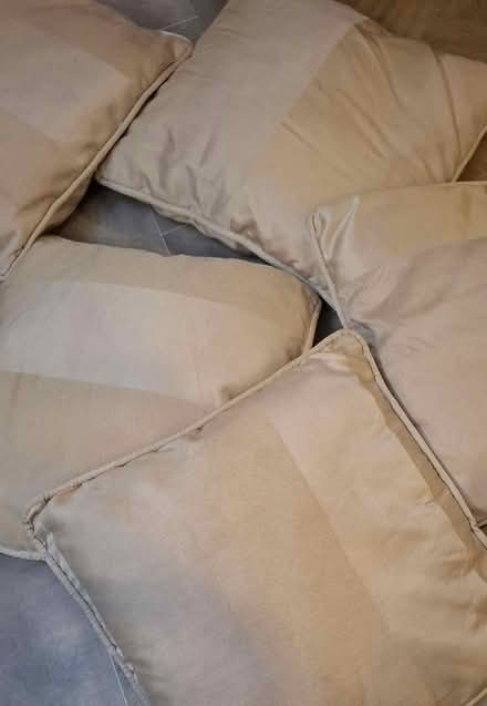 Photo of free 5 x matching cushions (Boughton Monchelsea ME17) #3