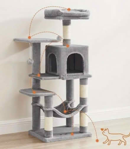 Photo of cat tree (Friston) #1