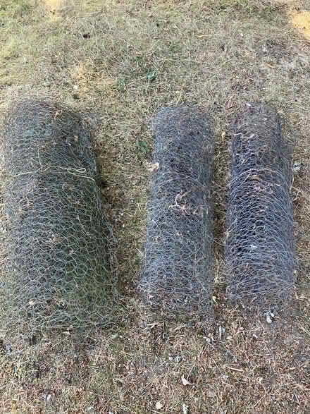 Photo of free Wire Fencing (Cove) #1