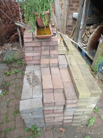 Photo of free Paving bricks (Caldmore WS1) #1
