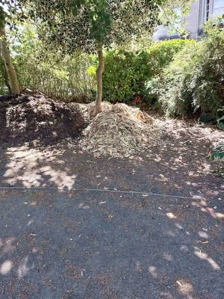 Photo of free Large wood chippings (West End EH12) #3
