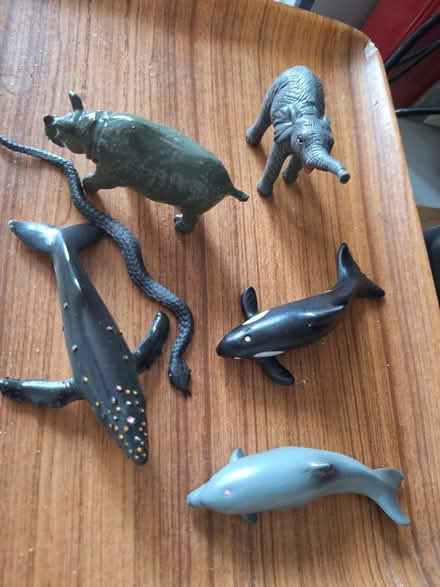 Photo of free Animal toys (GL51) #1
