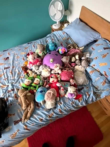 Photo of free Soft Toys (Ballygowan BT23) #1