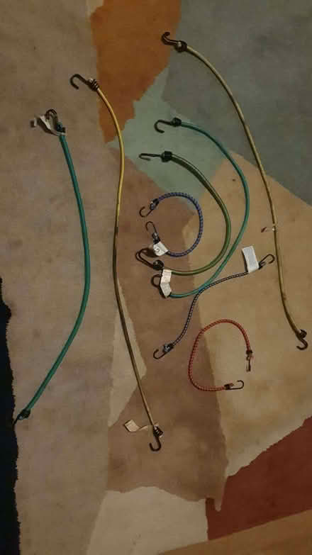 Photo of free Bungees (Odd Down) #1