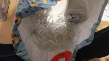 Photo of free Christmas lights (Didsbury) #1