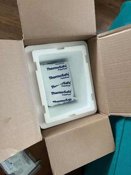 Photo of free Styrofoam cooler/reusable ice packs (Hawthorne) #1