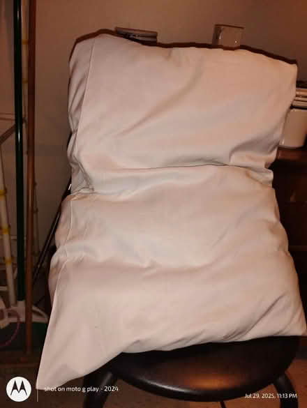 Photo of free Pillow (Bronx, 10473) #1