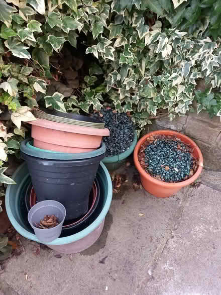 Photo of free Plantpot various sizes hx3 (Halifax) #1