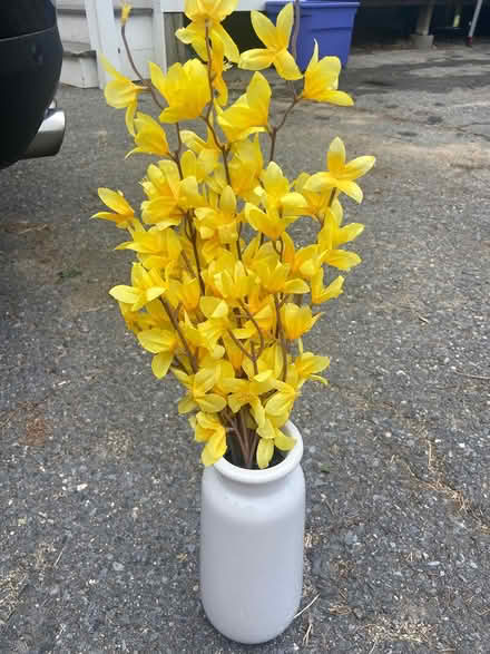 Photo of free Various Items (Ashby or Carlisle) #4