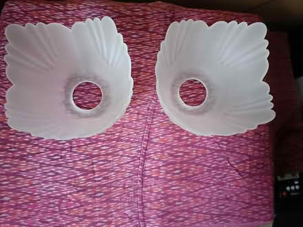 Photo of free Glass light shades x2 (New Milton BH25) #2