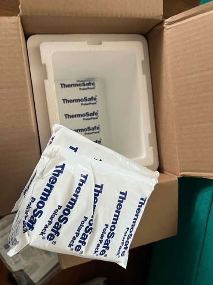 Photo of free Styrofoam cooler/reusable ice packs (Hawthorne) #2