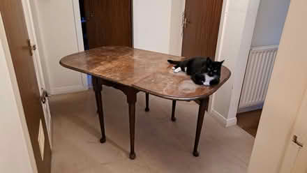 Photo of free Drop Leaf Dining Table (Musselburgh EH21) #3