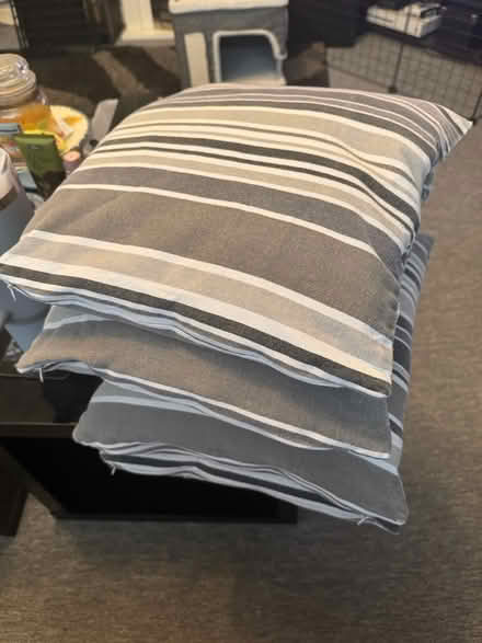 Photo of free Cushions (M18 Abbey Hey) #1