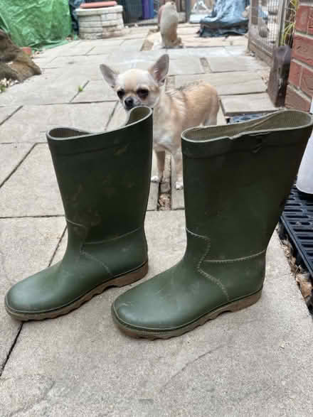 Photo of free Ladies/Childrens Wellingtons (Stamford) #2